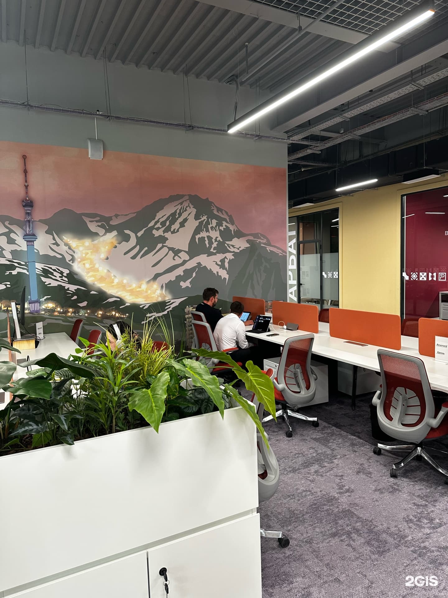Retail Space Global, консалтинговая компания