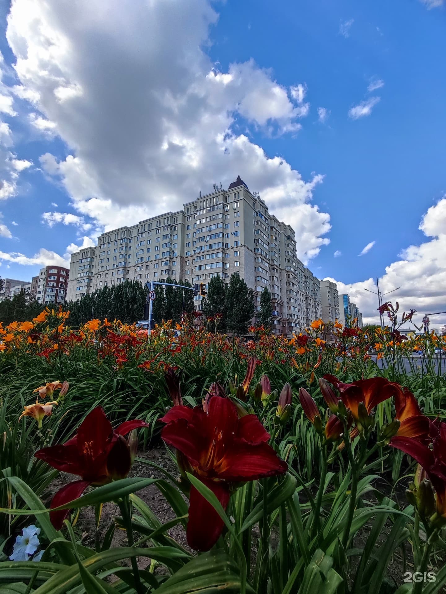 Декор-Трейд Групп, ремонтная компания