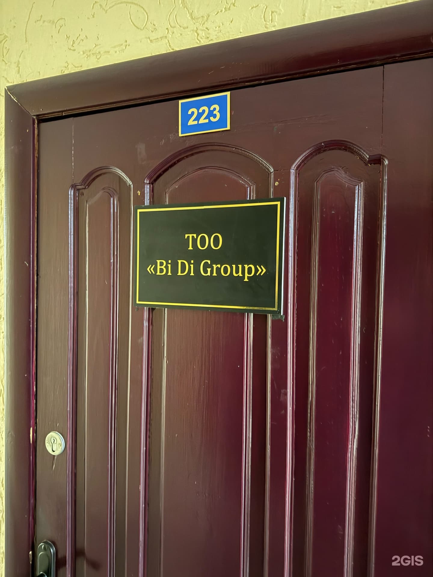 Bi Di Group