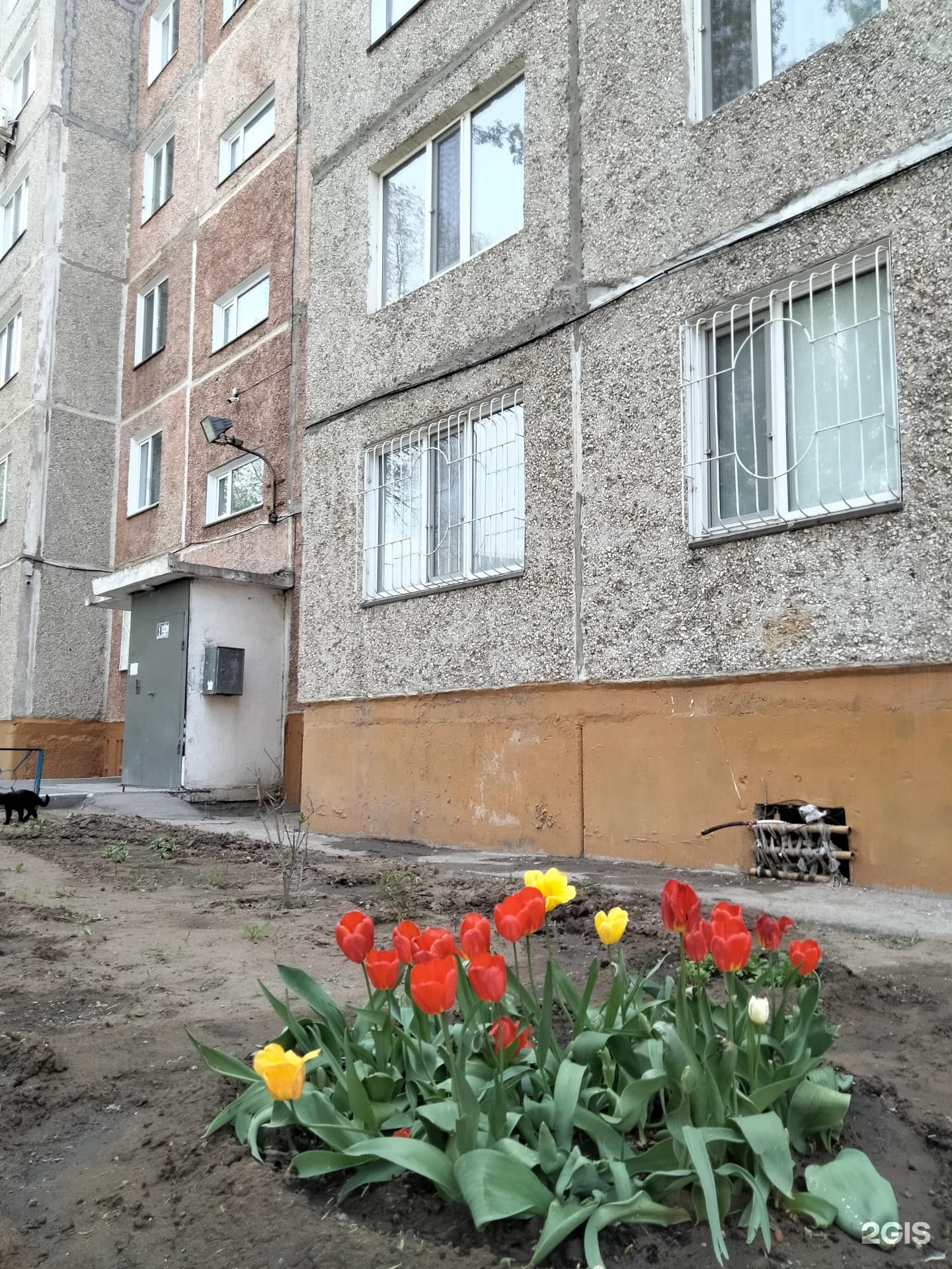ЭнЕрлайн, строительная компания