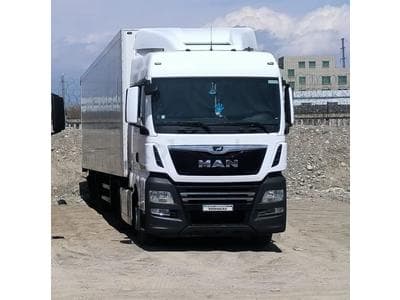 MAN TGX 500