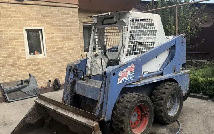 Bobcat