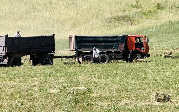 КамАЗ 5511