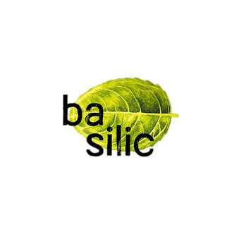 Гордиюк А.М , Basilic ТМ