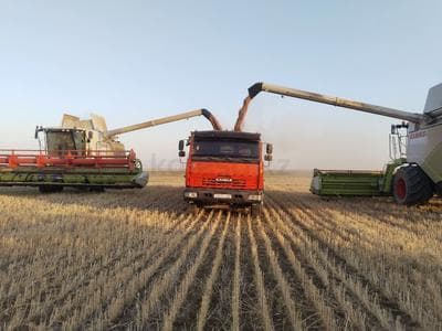КамАЗ 65115