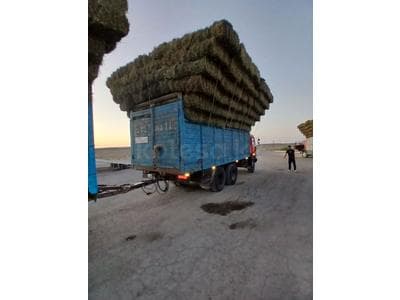 КамАЗ 53212